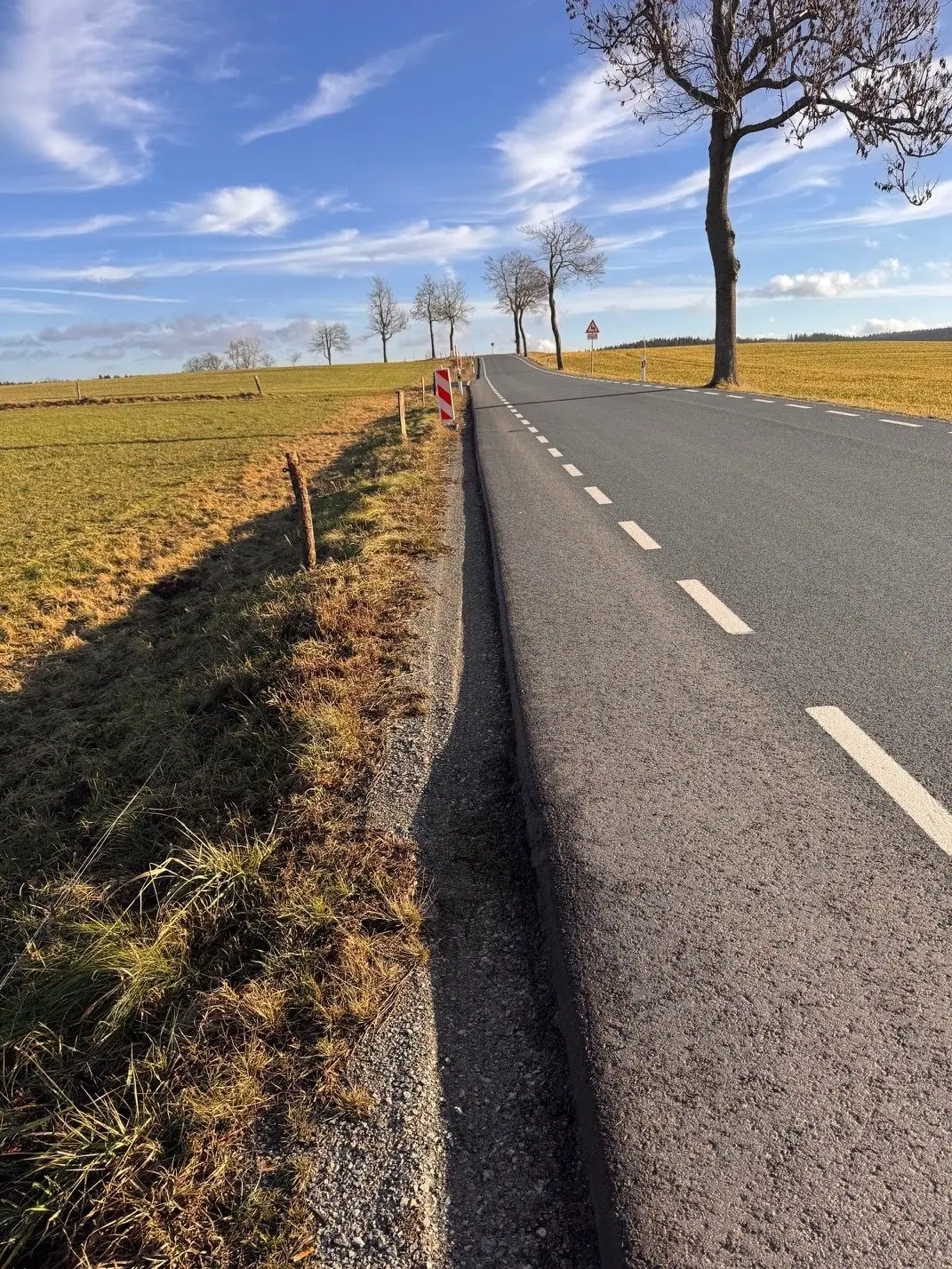 50 auf 30 km/h: Tempoabsenkung auf der S 184 in der Bauzeit